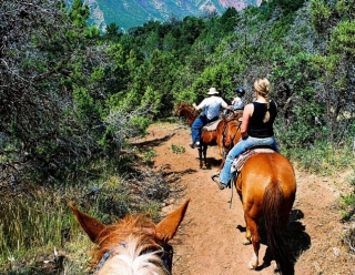  Following the tour 